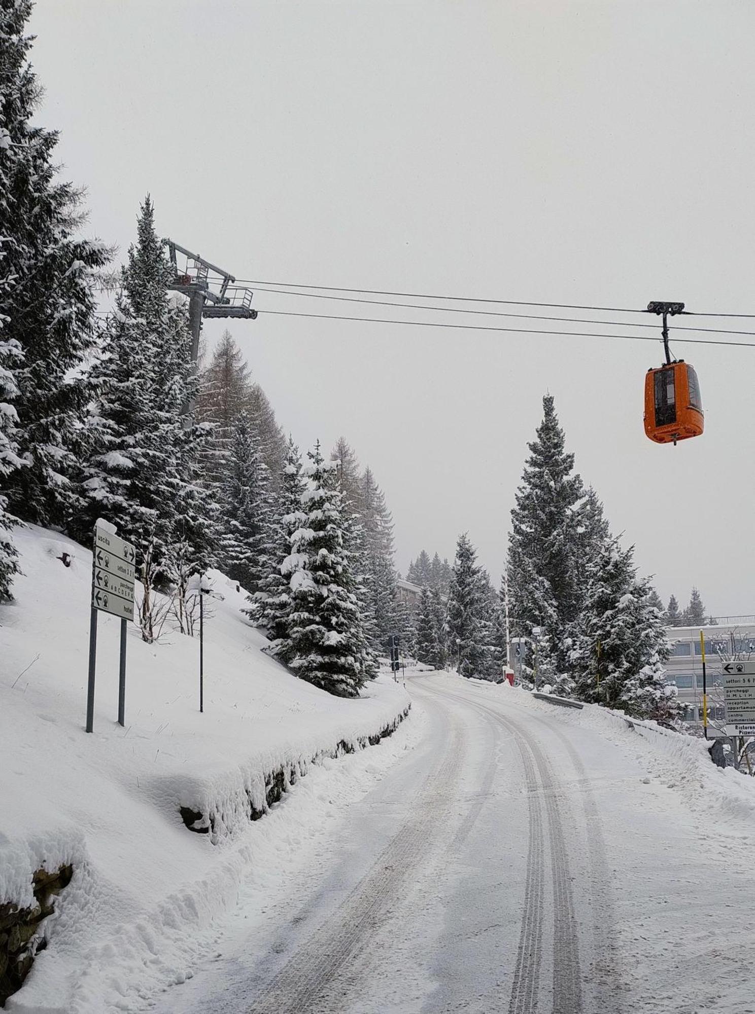 Ale 1206, Marilleva 1400 Accesso Diretto Alle Piste Eksteriør billede